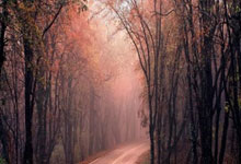 腾讯NBA有免费直播网址吗?怎么找到合规的观赛渠道?