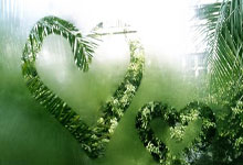 尤文图斯的主场有多特别?