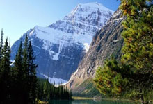 咪咕视频怎么免费看体育赛事?这些方法你得知道